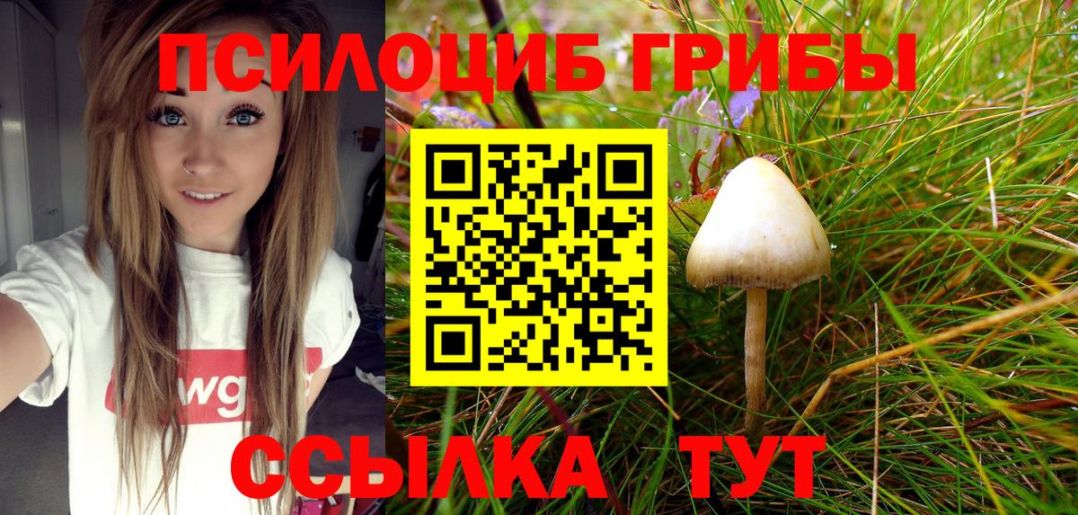 Псилоцибиновые грибы мицелий Торжок